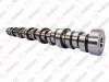 Camshaft / 105 021 004 / 3165224