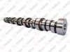 Camshaft / 105 021 006 / 20742607