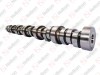 Camshaft / 105 021 007 / 7420451775