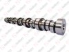 Camshaft / 105 021 009 / 21219818