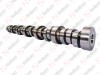 Camshaft / 105 021 010 / 8194480,  1545071,  479450,  479610