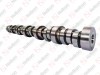 Camshaft / 105 021 014 / 21154172