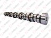 Camshaft / 305 021 001 / 1537778