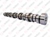 Camshaft / 305 021 002 / 1730646