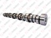 Camshaft / 305 021 003 / 1509916,  1439778