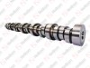 Camshaft / 305 021 004 / 1509917,  1439779,  509917