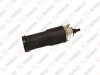 Cabin shock absorber, with air bellow / 305 049 019 / 1390293