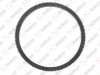 Ring Gear / 605 017 027 / 3600320305