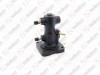 Brake master cylinder / 605 036 005 / FTE: N24802C1,  0002960107,  0064201518,  0074202118