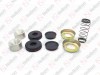 Repair kit, brake master cylinder / 605 036 034 / 0004204418,  FTE: RK50013K