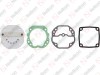 Valve Plate Kit / 635 062 005