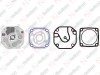 Valve Plate Kit / 635 062 007