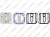 Valve Plate Kit / 635 062 074