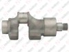 Crankshaft / 635 065 059