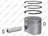 Piston & Ring Ø75.75 mm / 635 076 039