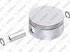 Piston Ø100.25 mm / 635 077 002