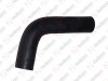 Hose / 905 091 005 / 4042816