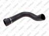 Hose / 905 091 011 / 41218108