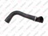 Hose / 905 091 015 / 41218106