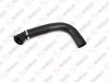 Hose / 905 091 020 / 41218702