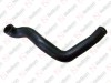 Hose / 905 091 022 / 8161344