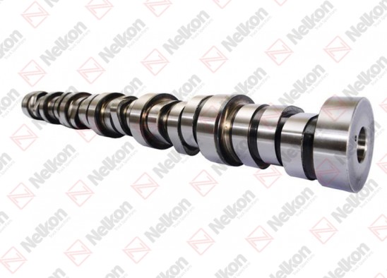 Camshaft / 105 021 005 / 20758404