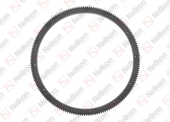 Corona dentata / 605 017 024 / 4030320405