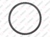 Coroa dentada / 605 017 023 / 4030320705