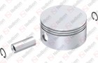 Pistão Ø100.25 mm / 635 077 087