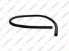 Hortum / 805 091 006 / 96CT 18686 AB