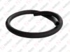 Hortum / 805 091 009 / 81DB 18N252 BD