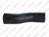 Hortum / 805 091 010 / 82DB 8286 EC